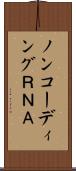 ノンコーディングＲＮＡ Scroll