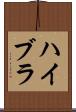 ハイブラ Scroll