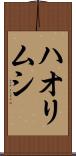 ハオリムシ Scroll