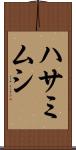 ハサミムシ Scroll