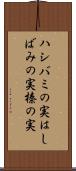 ハシバミの実 Scroll