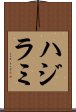 ハジラミ Scroll