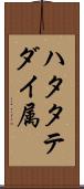 ハタタテダイ属 Scroll