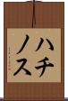 ハチノス Scroll
