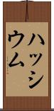 ハッシウム Scroll