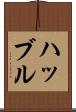 ハッブル Scroll