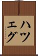 ハツェグ Scroll
