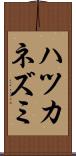 ハツカネズミ Scroll