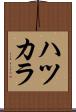 ハツカラ Scroll