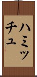 ハミッチュ Scroll