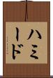 ハミード Scroll