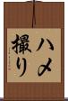 ハメ撮り Scroll