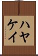 ハヤケイ Scroll