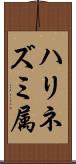 ハリネズミ属 Scroll