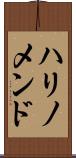 ハリノメンド Scroll