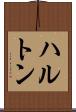 ハルトン Scroll
