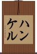 ハンケル Scroll