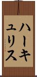 ハーキュリス Scroll