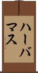 ハーバマス Scroll