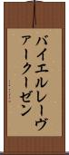 バイエル・レーヴァークーゼン Scroll