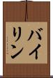 バイリン Scroll