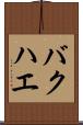 バクハエ Scroll