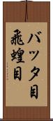 バッタ目 Scroll