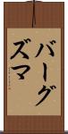 バーグズマ Scroll