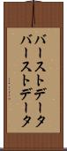 バーストデータ Scroll