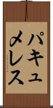 パキュメレス Scroll