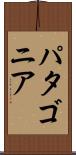 パタゴニア Scroll
