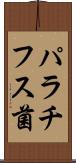 パラチフス菌 Scroll