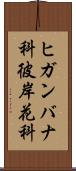 ヒガンバナ科 Scroll
