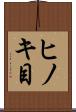 ヒノキ目 Scroll