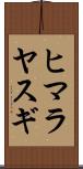 ヒマラヤスギ Scroll