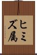 ヒミズ属 Scroll
