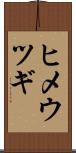 ヒメウツギ Scroll