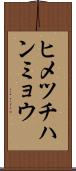 ヒメツチハンミョウ Scroll