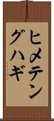 ヒメテングハギ Scroll
