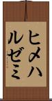 ヒメハルゼミ Scroll