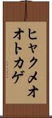 ヒャクメオオトカゲ Scroll