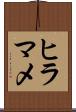 ヒラマメ Scroll