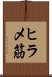 ヒラメ筋 Scroll