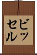 ビッセル Scroll