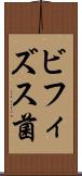 ビフィズス菌 Scroll