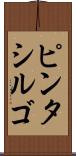 ピンタシルゴ Scroll
