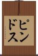 ピンドス Scroll