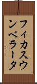 フィカス・ウンベラータ Scroll