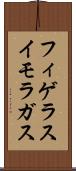 フィゲラスイモラガス Scroll