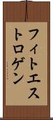 フィトエストロゲン Scroll